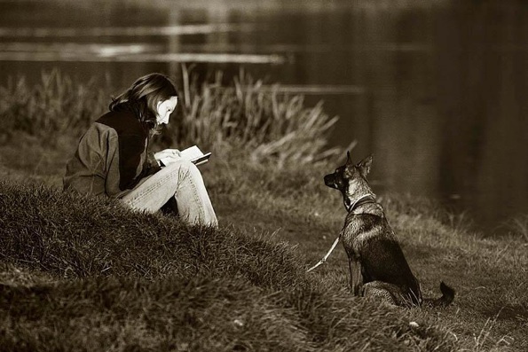 dog_reading.jpg