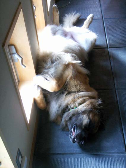 doma_1_090713.jpg