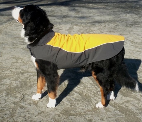 maybe_coat_1.jpg