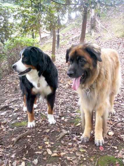 mayrosy_1202.jpg