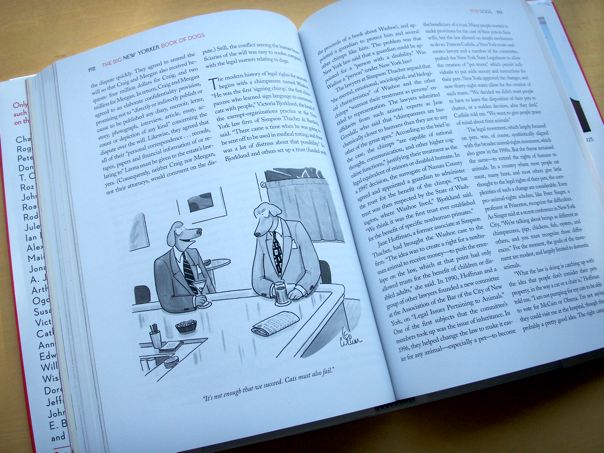 newyorker_5.jpg