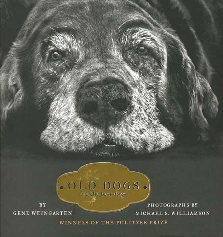 old dogs_1.jpg