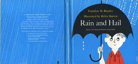 rain and hail1.jpg