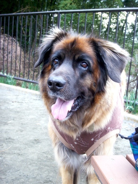 rosy01252.jpg
