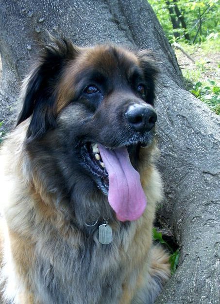 rosy05204.jpg