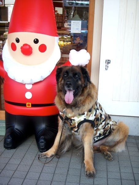 santa_rosy_2.jpg