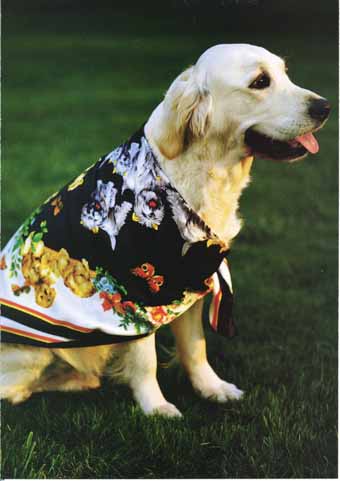 scraf dog.jpg
