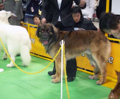 taiyo_2.jpg
