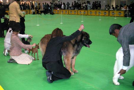 taiyo_3.jpg
