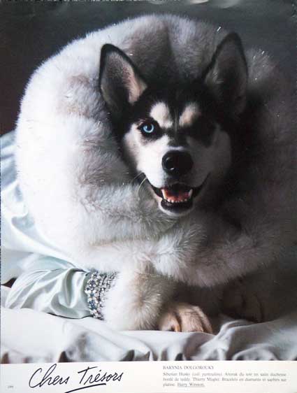 vogue_haski.jpg