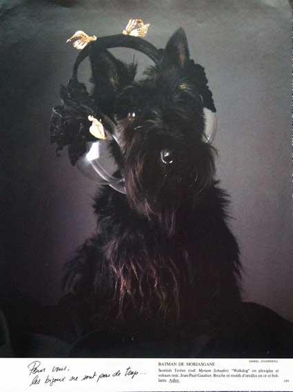 vogue_scotti.jpg