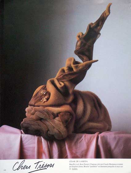 vogue_syapei.jpg