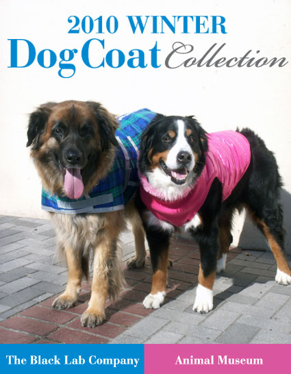 wintercoat_1.jpg