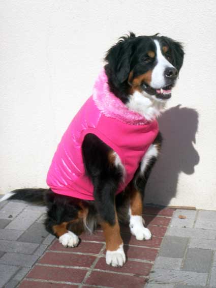 wintercoat_may_sit.jpg