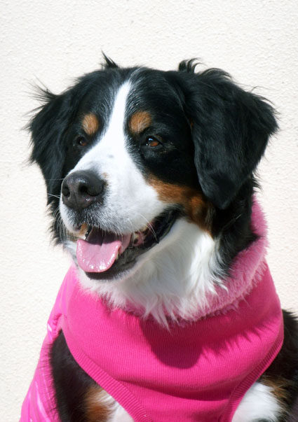 wintercoat_maybe.jpg